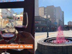 Queijos, Vinhos e Espumantes - Bento, Garibaldi e Carlos Barbosa - Fenachamp.